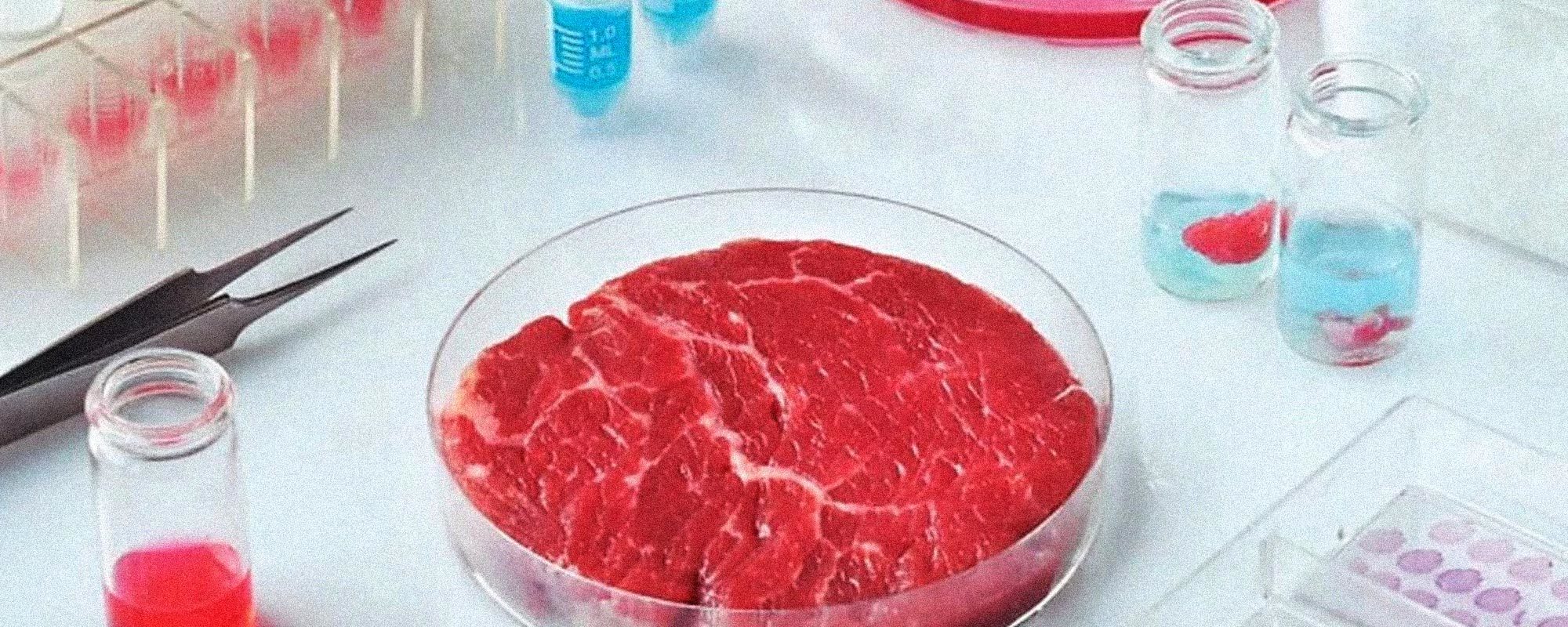 Lab-grown meat